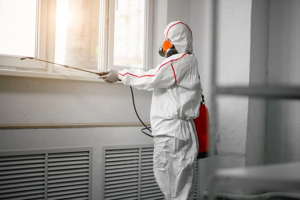 Professional mold remediation services in Fairview, OR